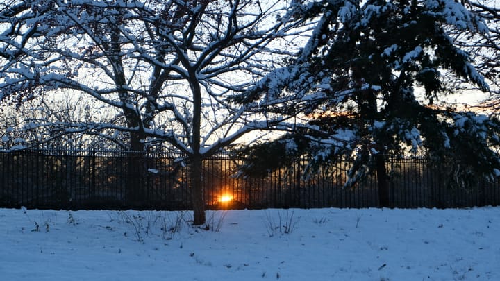 Listen: Tarot at the After-Party